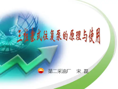 三柱塞式往复泵的原理与使用.
