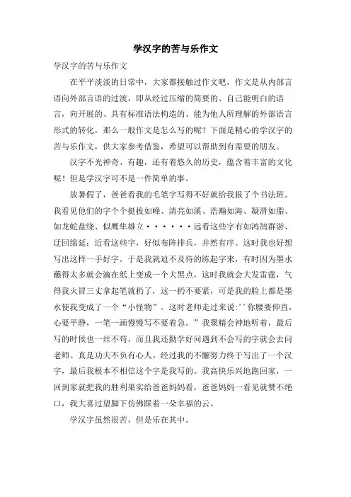 学汉字的苦与乐作文