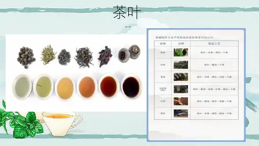 茶叶的不同加工方式