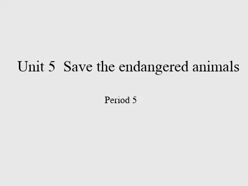 沪教版(初中二年级)八年级英语下册：Unit 5 Save the endangered animals(Period 5)_课件1