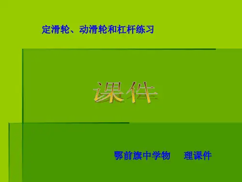 滑轮-练习PPT课件