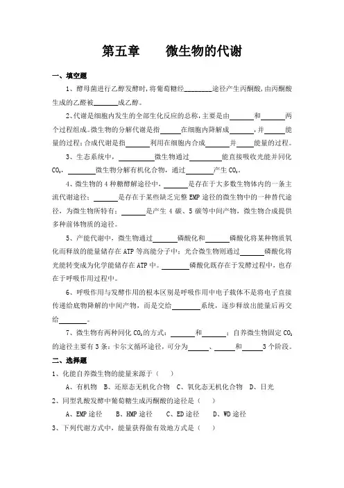 第五章微生物的代谢