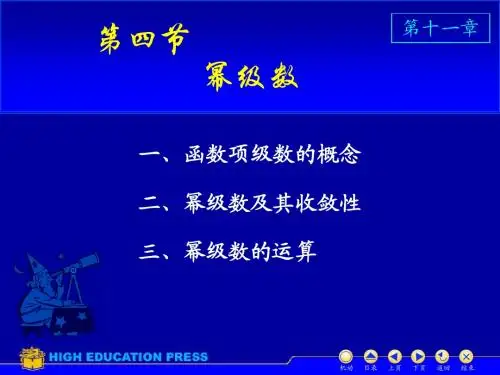 D11-4幂级数