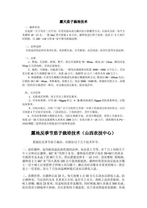 茄子栽培技术