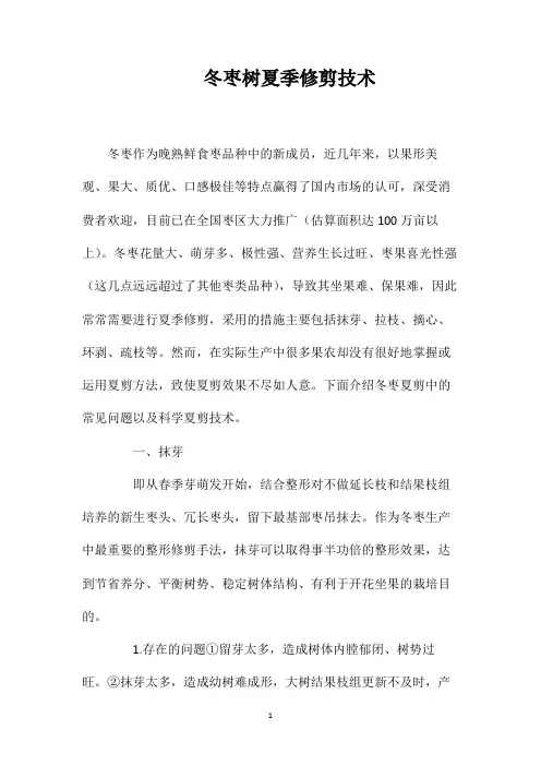 冬枣树夏季修剪技术
