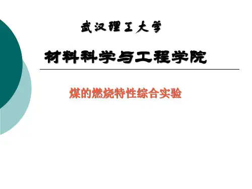 煤的燃烧特性综合实验
