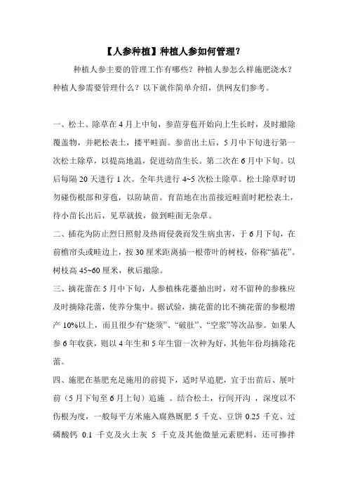 【人参种植】种植人参如何管理？