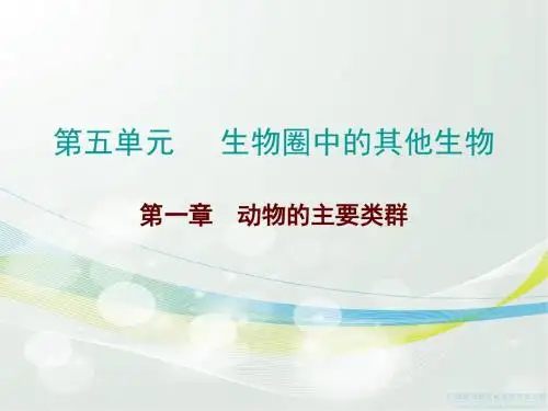 2017广东中考总复习生物第五单元生物圈中的其他生物第一章 动物的主要类群