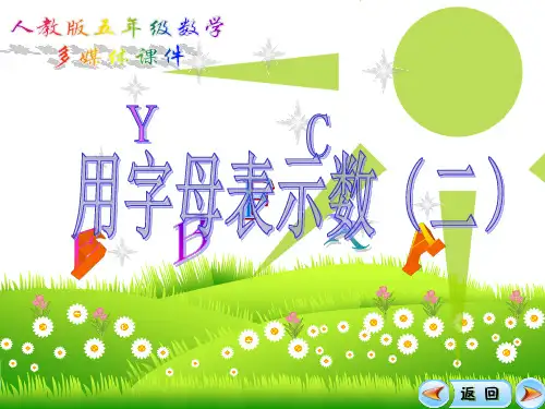 用字母表示数2