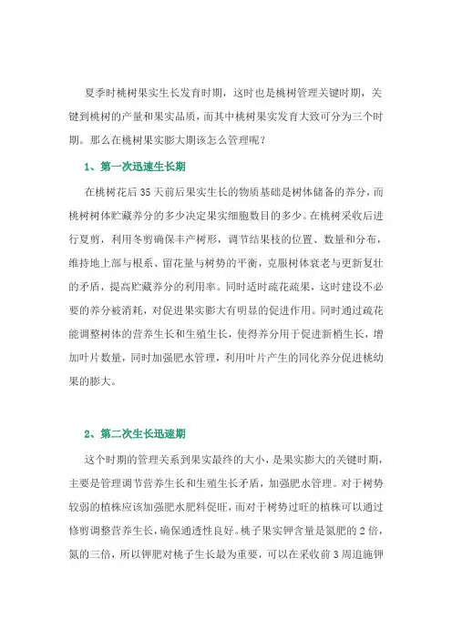 桃树果实膨大期管理要点