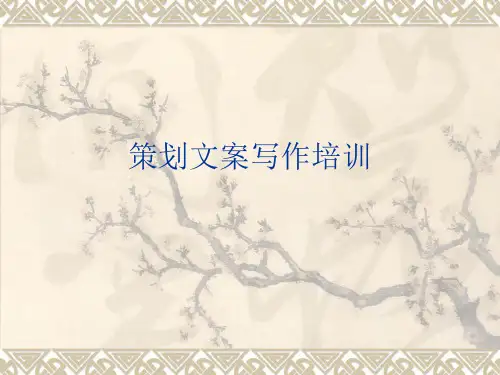 策划文案写作培训教材PPT