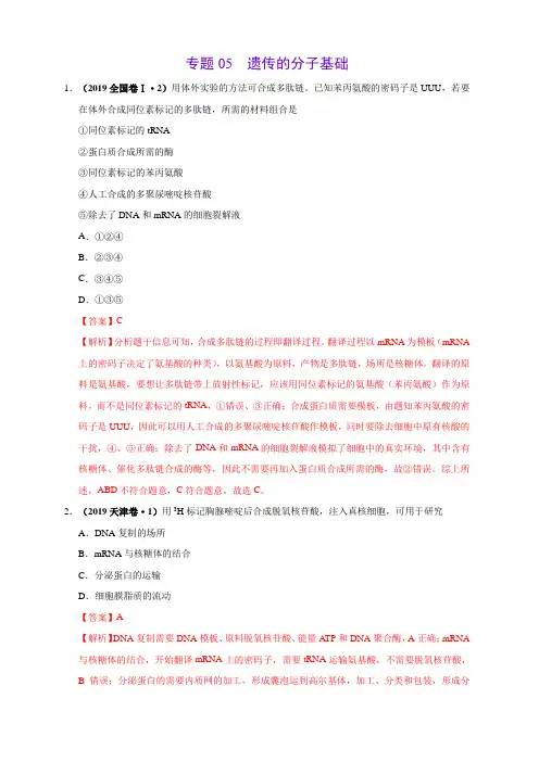 三年(2017-2019)高考真题生物分项汇编 专题05 遗传的分子基础(含答案解析)
