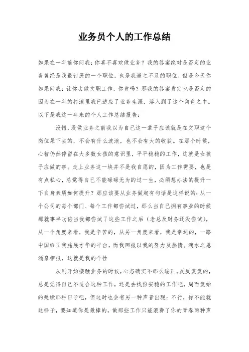业务员个人的工作总结