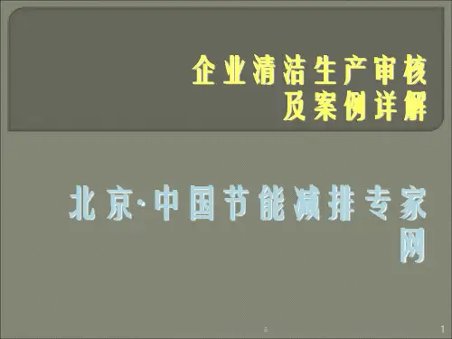 《清洁生产审核》PPT课件