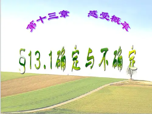 《确定与不确定》PPT课件