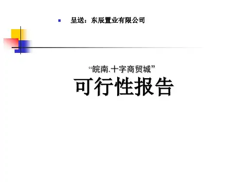 安徽郎溪县皖南十字商贸城项目可行性研究报告