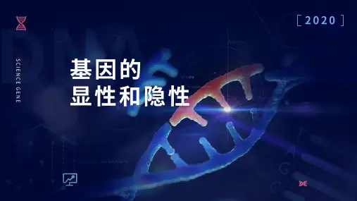 人教版生物八年级下册2.3《基因的显性和隐性》课件 (共21张PPT)
