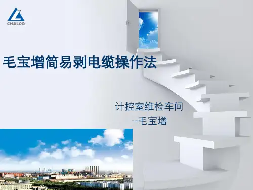 先进操作法-毛宝增资料