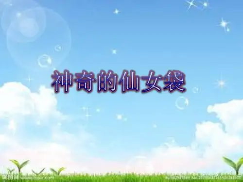 神奇的仙女袋__说课课件