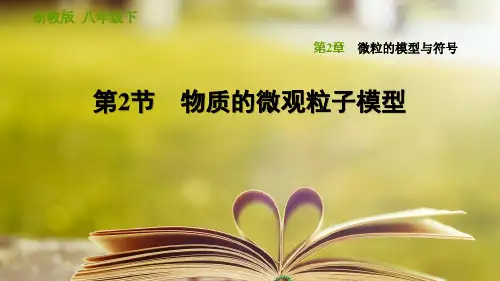 浙教版科学八年级下册第二章《微粒的模型与符号》2.2 物质的微观粒子模型
