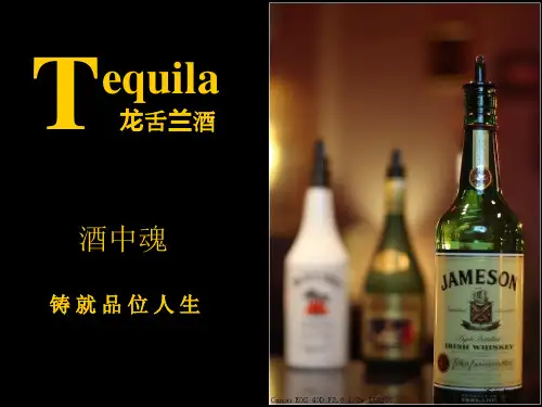 龙舌兰酒 PPT课件