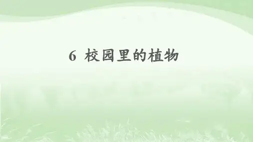 教科版一年级科学上册1.6校园里的植物课件