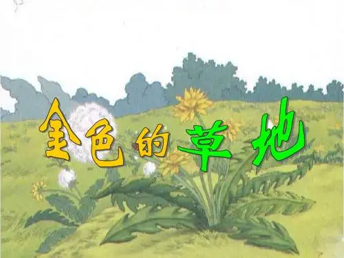 2、金色的草地