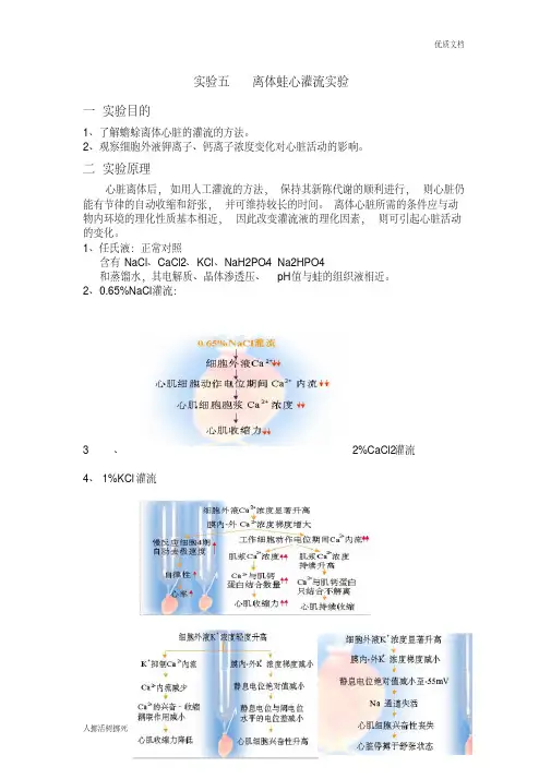 离体蛙心灌流实验 2