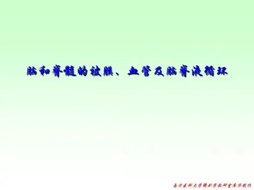 17脑脊髓被膜血管脑脊液循环