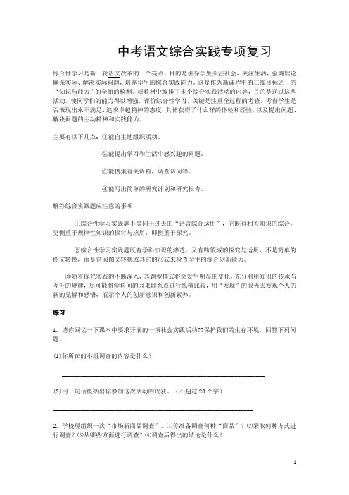 中考语文综合实践专项复习