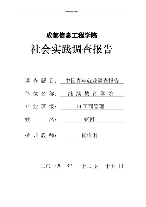 中国青年就业状况调查报告