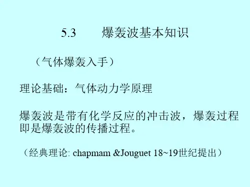 5爆轰理论(下)教程