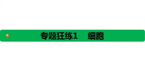 初中专题练习细胞