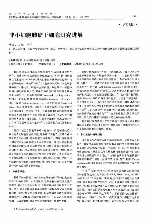 非小细胞肺癌干细胞研究进展