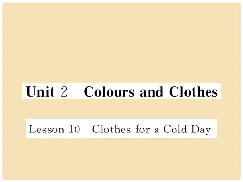 七年级英语上册 Unit 2 Colours and Clothes Lesson 1