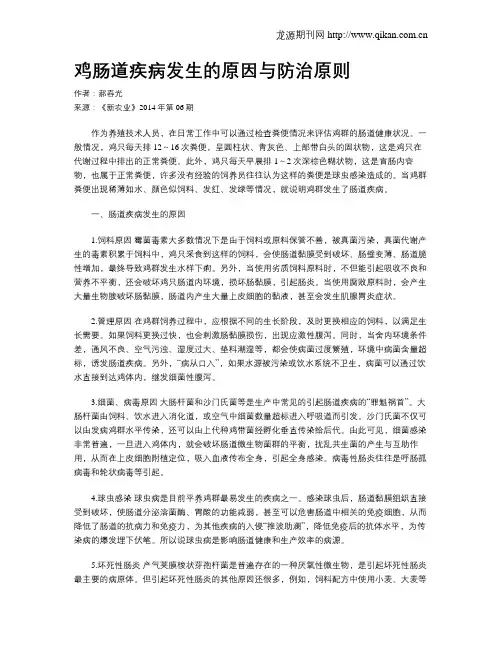 鸡肠道疾病发生的原因与防治原则
