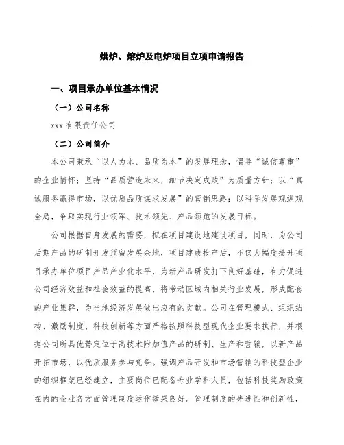 烘炉、熔炉及电炉项目立项申请报告模板参考