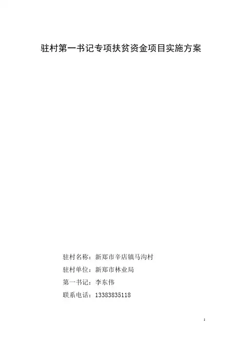 驻村第一书记专项扶贫资金项目实施方案