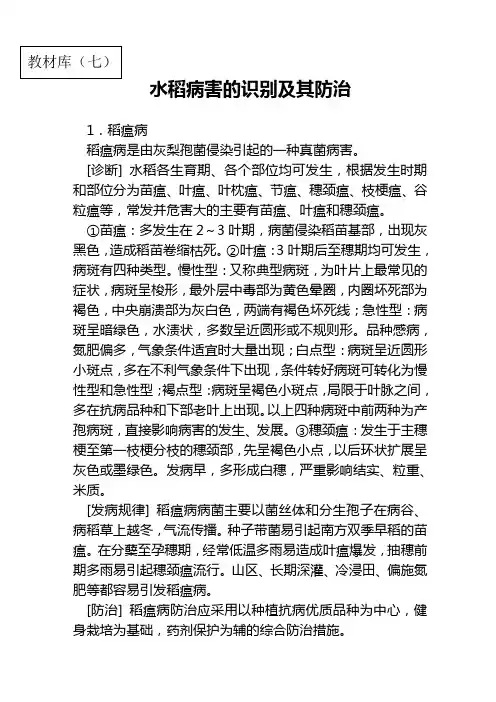 水稻病害的识别及其防治