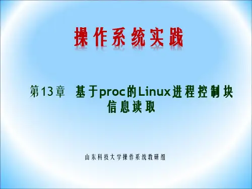 第13章 基于proc的Linux进程控制块信息读取