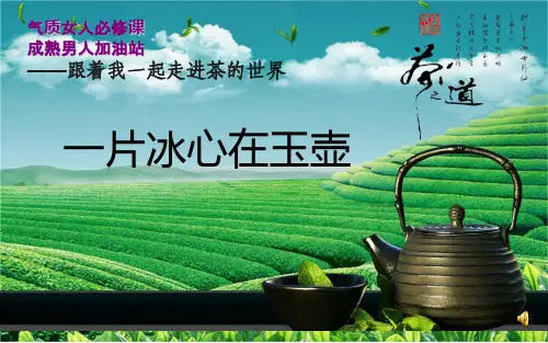 精选《茶艺》资料