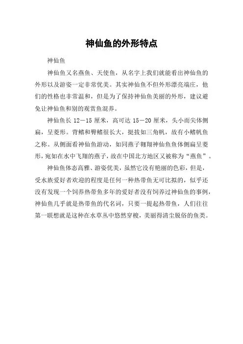 神仙鱼的外形特点