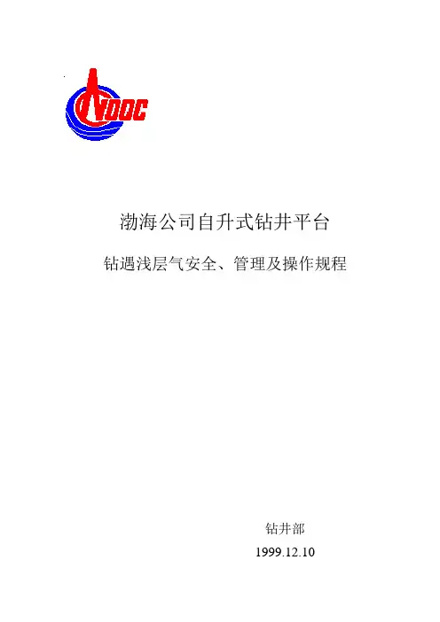 浅层气安全管理及操作规程