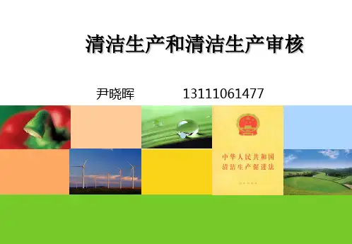 1清洁生产概论及法律法规