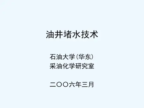 油井堵水技术.ppt
