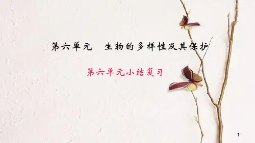 八年级生物上册 第六单元 生物的多样性及其保护小结复习课件 (新版)新人教版.pptx