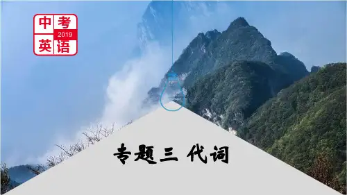 初中英语语法:代词