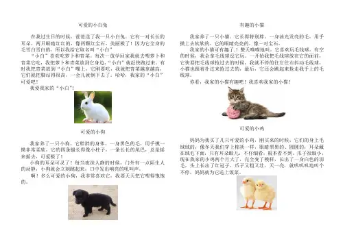 二年级下册描写小动物的作文