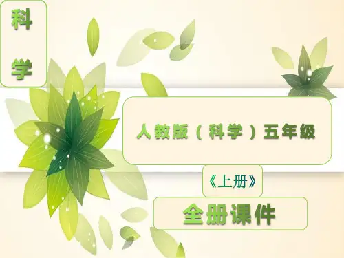 人教版五年级科学上册全册课件完整版