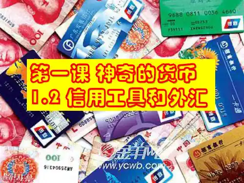 【人教版】高一政治必修一：1.2《信用工具和外汇》ppt课件